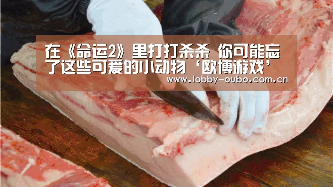 在《命运2》里打打杀杀 你可能忘了这些可爱的小动物‘欧博游戏’(图1) 欧博