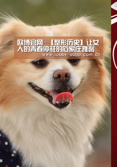 欧博官网-【整形历史】让女人的青春停驻的石家庄雅馨(图2) 欧博
